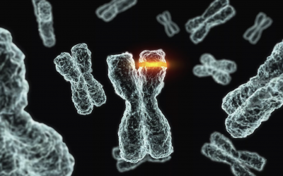 DNA Code and Molecule Part 6: Of Minterms, Codons, Amino Acids, and Wobbles